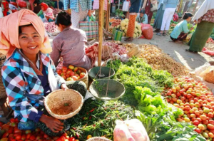 东南亚电商发展的外在环境