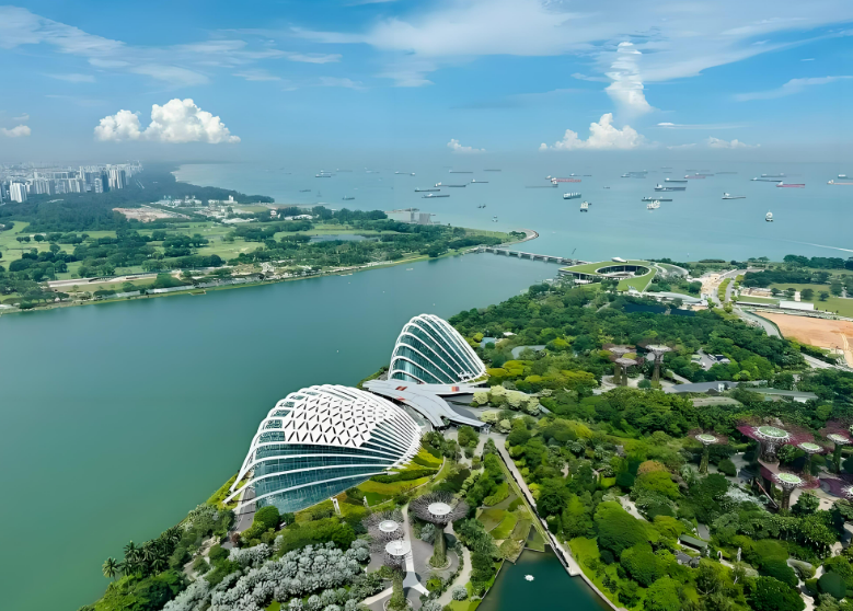 新加坡社交电商销售额将达66亿美元直播占三分之一