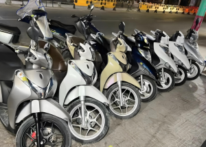 同比增长近一倍，越南电动车销量增长将带动周边产...