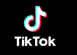 有卖家入驻4个月就拿到结果  TikTok Shop美国站仍...