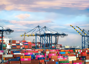 63%越南消费者通过电商平台进行春节网购