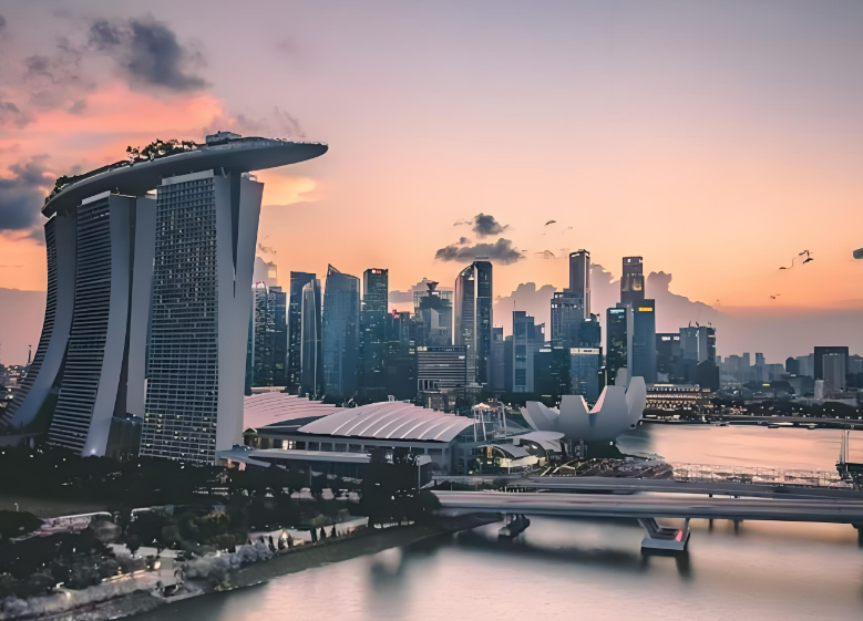 新加坡去年查获23万个电子烟及配件