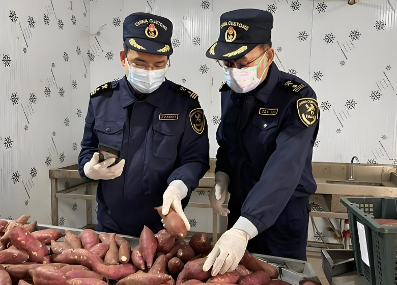 越南查获多个制假售假场所