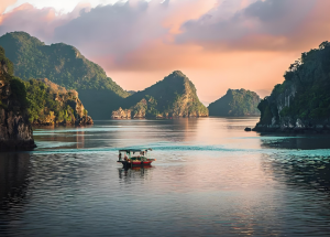 Shopee越南站加强AI内容管控