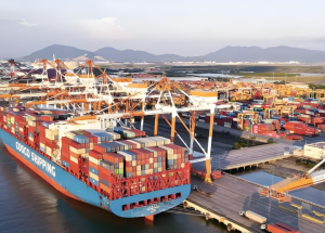 线上违规，激增越南海关处理8800余起走私案件